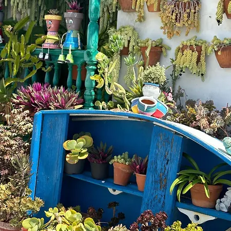 Mar Y Montaña Apartamento